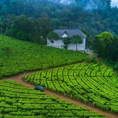Tea Harvester Муннар Екстер'єр фото