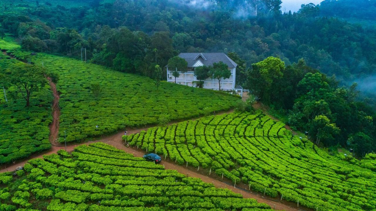 Tea Harvester Муннар Екстер'єр фото